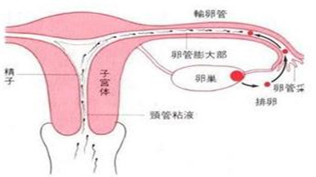 文章附图